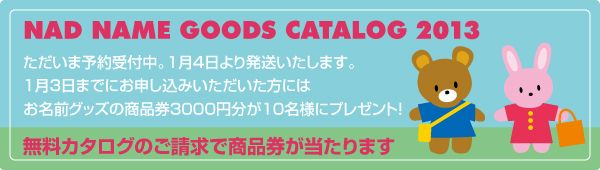 ニンテンドー3DS