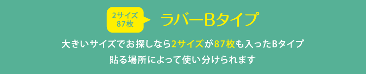 ラバーネームB 大きいサイズでお探しなら2サイズが87枚も入ったBタイプ 貼る場所によって使い分けられます