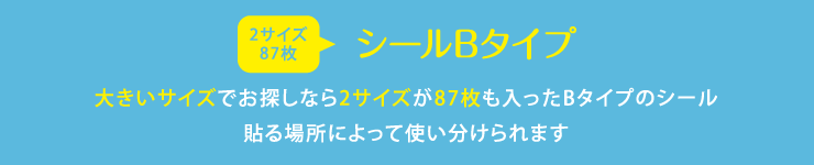 名前シールB 大きいサイズでお探しなら2サイズが87枚も入ったBタイプのシール 貼る場所によって使い分けられます